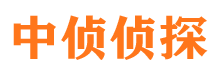 武陟市私人侦探